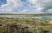 Vendicari nature reserve